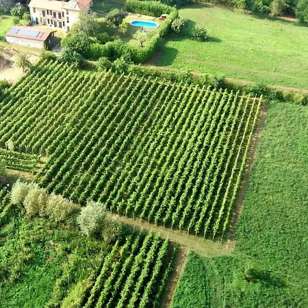 Laghi D'insubria