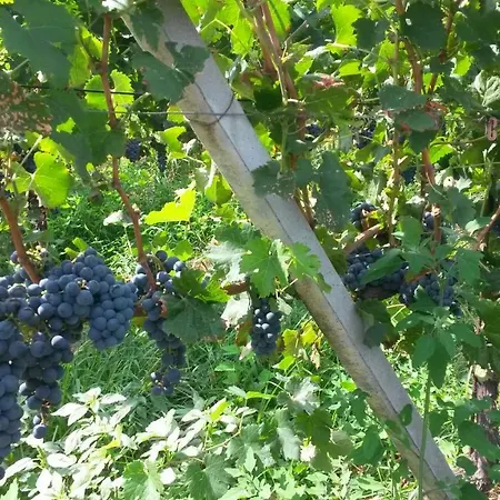 Farm stay Laghi D'insubria